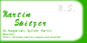 martin spitzer business card